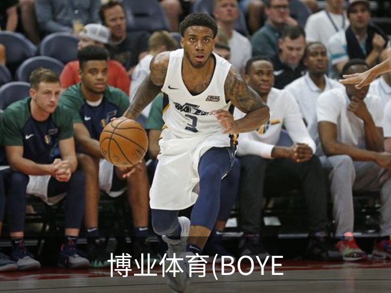 关于博业体育(BOYE
